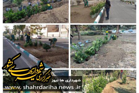 کاشت ۲ هزار اصله درختچه یاس هلندی در منطقه ۲۱ تهران