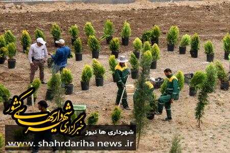 جنگل کاری شهری؛ تلاشی برای بازگرداندن نفس به پایتخت