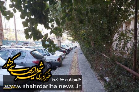 پایان عملیات مرمت و احداث پیاده رو در خیابان زنبق منطقه۲۲ تهران