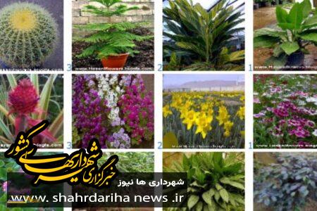 برگزاری نخستین دوره مقدماتی کنشگری شهروندی در منطقه۲۲ تهران
