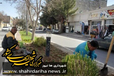 کاشت گل و گیاه در سطح بلوارها و میادین سطح شهر قاین