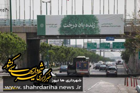 حاشیه بزرگراه آزادگان تهران سرسبز شد