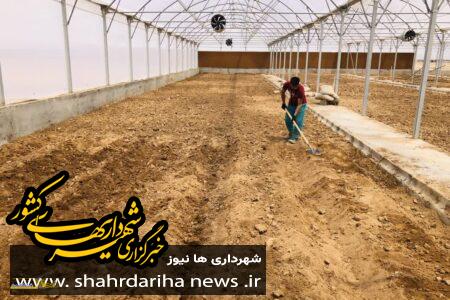 آغاز عملیات کاشت گل و گیاه در گلخانه شهرداری قاین