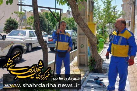 حذف زوائد فیزیکی از سیمای شهری