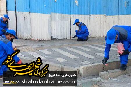 آغاز اجرای طرح مبارزه با حیوانات موذی در محلات منطقه۲۲ تهران