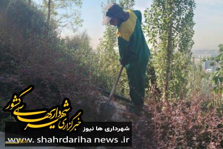 اجرای طرح نگهداشت ویژه فضای سبز در بوستان آبشار تهران