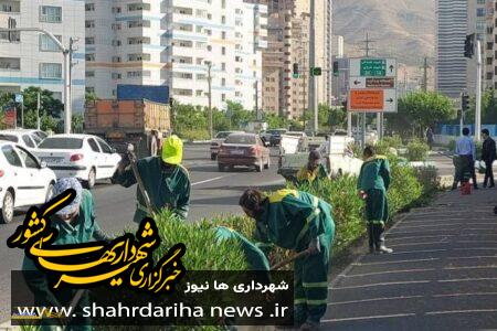 اجرای طرح نگهداشت شهر در بلوار شهید اردستانی تهران
