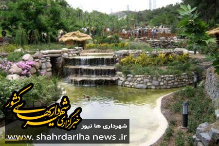 طراحی باغ صخره‌ای