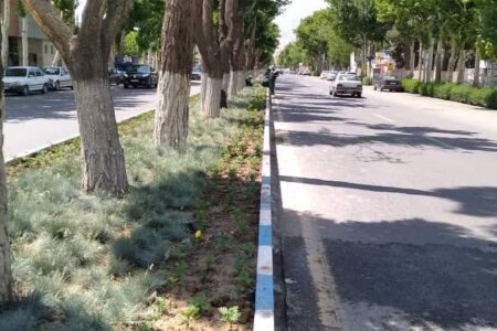 کاشت بالغ بر 6750 عدد گل در بلوار سلمان فارسی گلپایگان