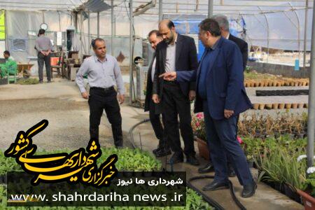 پرورش سالانه یك میلیون انواع گل و درخت در گلخانه شهرداری گلپایگان