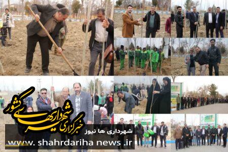 پویش كاشت صنوبر در بلوار ساحلی گلپایگان به مناسبت روز درختکاری