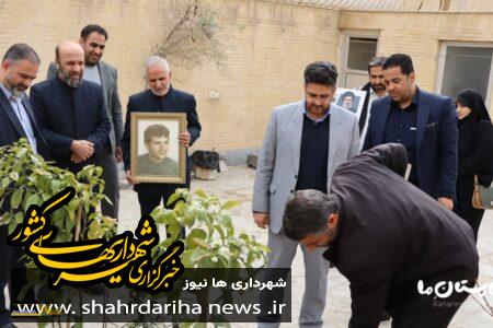 کاشت درخت در خانه های شهدای شهر بهارستان