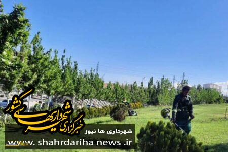 اجرای طرح نگهداشت ویژه فضای سبز در بوستان جنگلی لتمال در منطقه 22 تهران