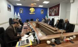 مسائل مشترک مدیریت شهری و میراث فرهنگی گلپایگان در نشست شورای شهر بررسی شد