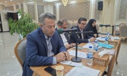 شهردار نهاوند: افزایش بودجه، پاسخگوی کمبود نیروی متخصص در ساختار شهرداری ها نیست