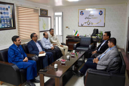 دیدار رئیس شبکه بهداشت و درمان با شهردار طبس