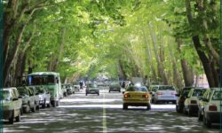 آغاز برنامهریزی برای طرح «توسعه دالان سبز» در خوانسار