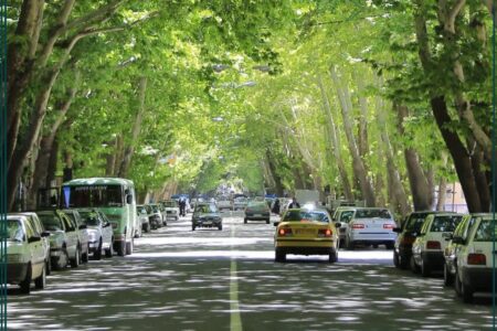 آغاز برنامه‌ریزی برای طرح «توسعه دالان سبز» در خوانسار