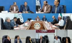 بررسی روند اجرای پروژههای مشارکتی گلپایگان در کمیسیون سرمایهگذاری