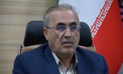 شهردار نجف‌آباد: عملکرد بسیاری از شهرداری ها در استان به صورت جزیره ای است